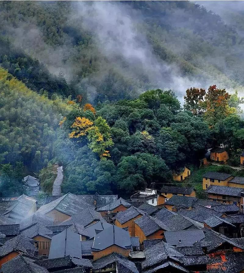 组装机械警暴龙